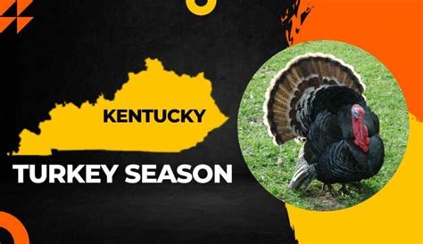 8-9, 2022 Muzzleloader Oct. . Kentucky turkey season 2023